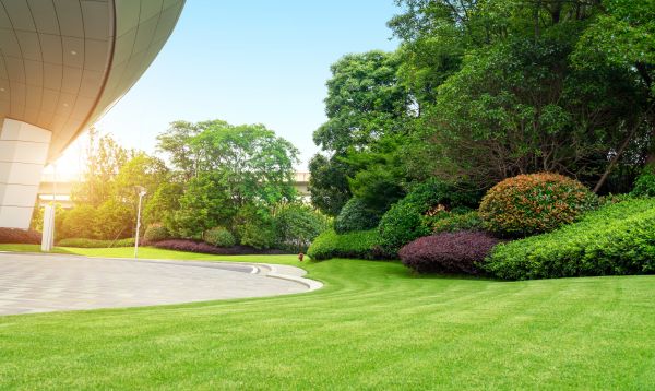 Commercial Lawn Care in Saint Charles