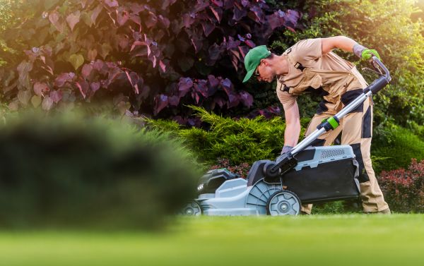 Lawn Care And Maintenance in Saint Charles