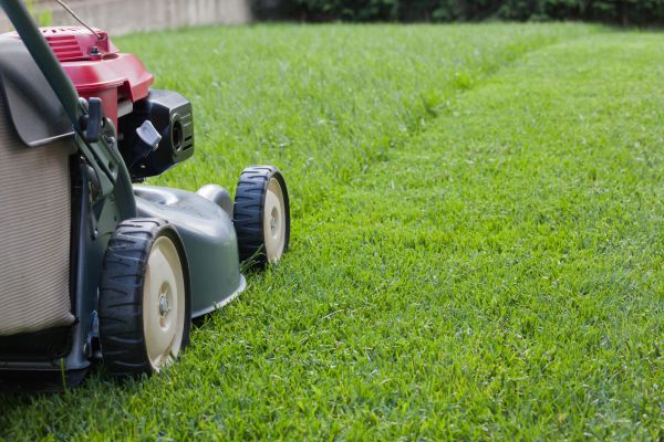 Lawn Care Service in Saint Charles