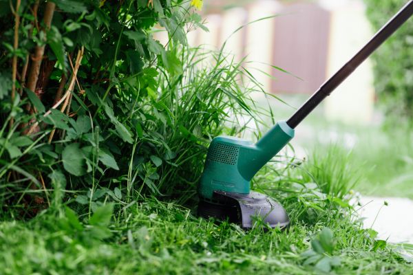 Weed Whacking in Saint Charles