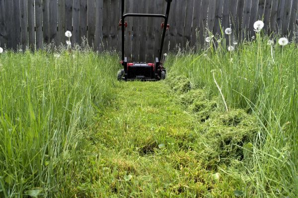 High Grass Mowing in Saint Charles