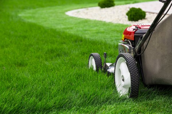 Lawn Trimming in Saint Charles
