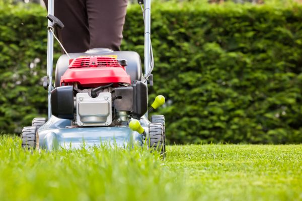 Grass Trimming Service in Saint Charles