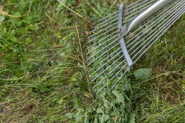 Thatch Raking in Saint Charles