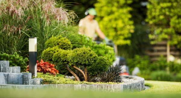 Residential Yard Maintenance in Saint Charles