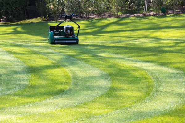 Business Lawn Mowing in Saint Charles