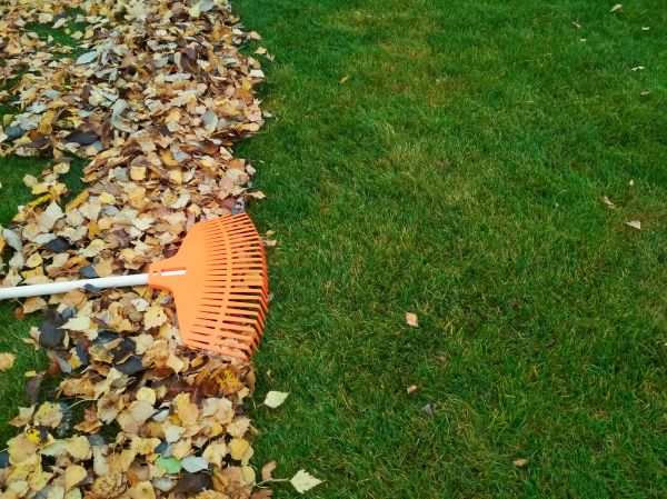 Fall Lawn Care in Saint Charles