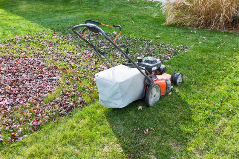 Fall Lawn Care