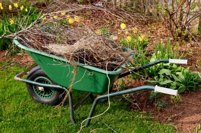Mulched Leaves in Garden Bed