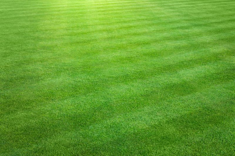 Lawn Cutting Service detail